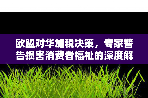 欧盟对华加税决策，专家警告损害消费者福祉的深度解析