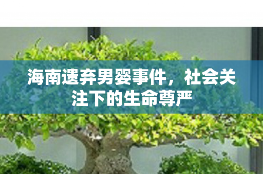 海南遗弃男婴事件，社会关注下的生命尊严