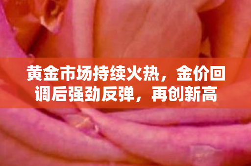 黄金市场持续火热，金价回调后强劲反弹，再创新高