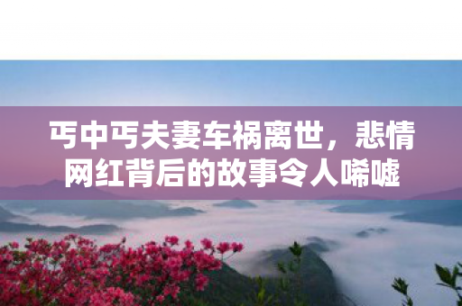 丐中丐夫妻车祸离世，悲情网红背后的故事令人唏嘘
