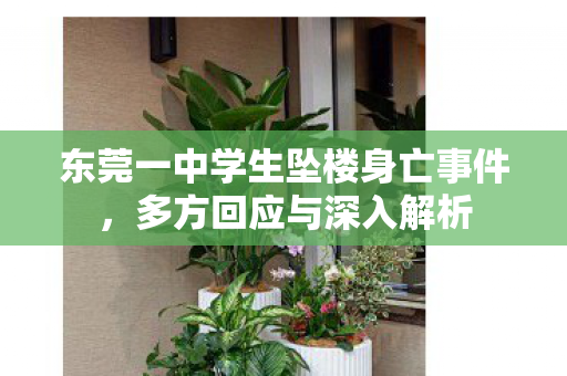东莞一中学生坠楼身亡事件，多方回应与深入解析