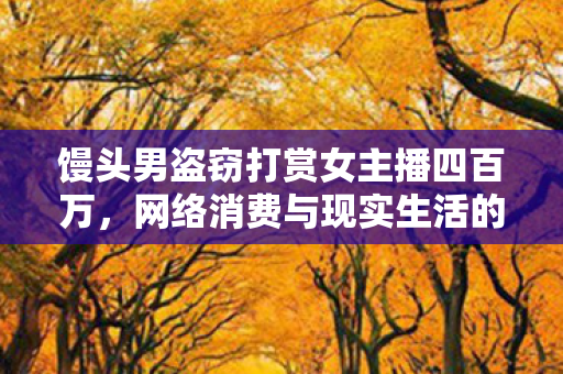 馒头男盗窃打赏女主播四百万，网络消费与现实生活的矛盾