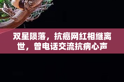双星陨落，抗癌网红相继离世，曾电话交流抗病心声