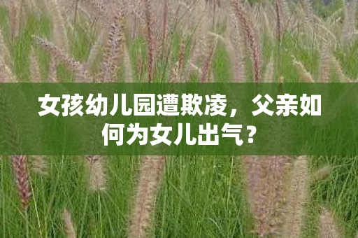 女孩幼儿园遭欺凌，父亲如何为女儿出气？