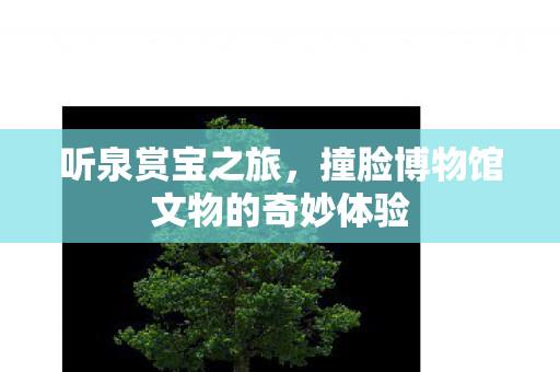 听泉赏宝之旅，撞脸博物馆文物的奇妙体验
