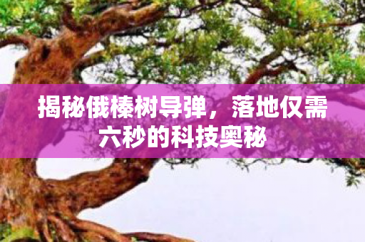 揭秘俄榛树导弹，落地仅需六秒的科技奥秘