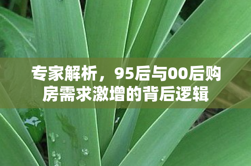 专家解析，95后与00后购房需求激增的背后逻辑