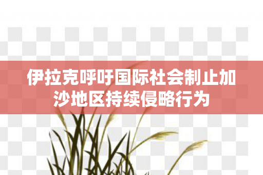 伊拉克呼吁国际社会制止加沙地区持续侵略行为
