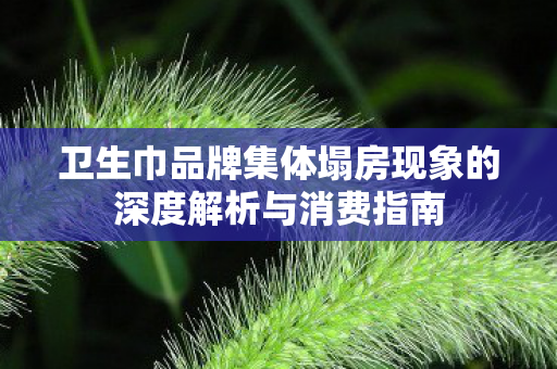 卫生巾品牌集体塌房现象的深度解析与消费指南