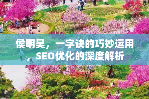 侯明昊，一字诀的巧妙运用，SEO优化的深度解析