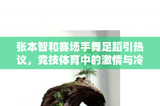 张本智和赛场手舞足蹈引热议，竞技体育中的激情与冷静的微妙平衡