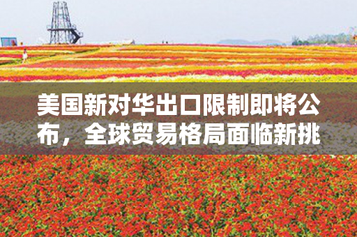 美国新对华出口限制即将公布，全球贸易格局面临新挑战