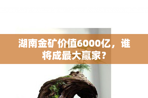 湖南金矿价值6000亿，谁将成最大赢家？