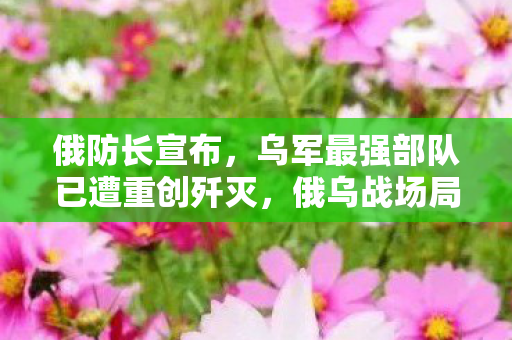 俄防长宣布，乌军最强部队已遭重创歼灭，俄乌战场局势分析