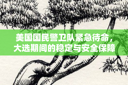 美国国民警卫队紧急待命，大选期间的稳定与安全保障