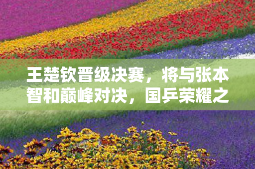 王楚钦晋级决赛，将与张本智和巅峰对决，国乒荣耀之战一触即发