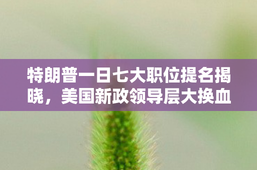 特朗普一日七大职位提名揭晓，美国新政领导层大换血