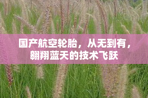 国产航空轮胎，从无到有，翱翔蓝天的技术飞跃