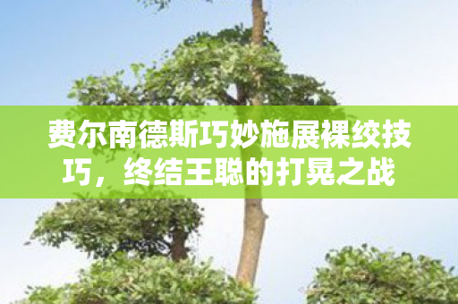 费尔南德斯巧妙施展裸绞技巧，终结王聪的打晃之战