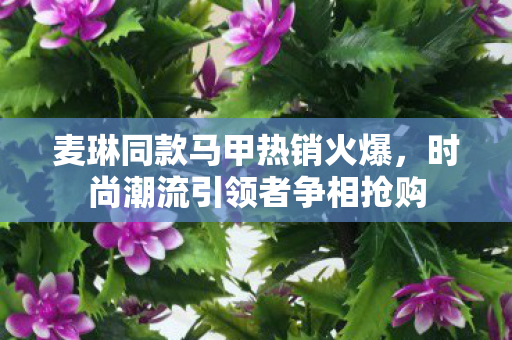 麦琳同款马甲热销火爆，时尚潮流引领者争相抢购
