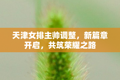 天津女排主帅调整，新篇章开启，共筑荣耀之路