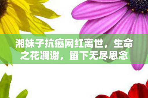 湘妹子抗癌网红离世，生命之花凋谢，留下无尽思念