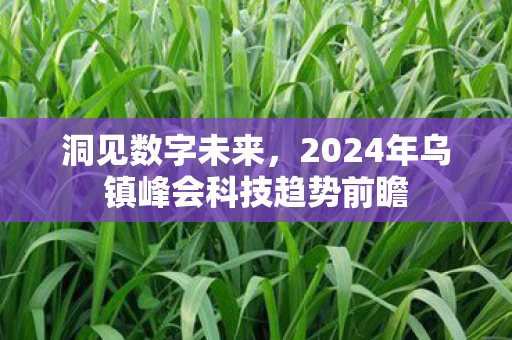 洞见数字未来，2024年乌镇峰会科技趋势前瞻