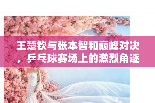 王楚钦与张本智和巅峰对决，乒乓球赛场上的激烈角逐