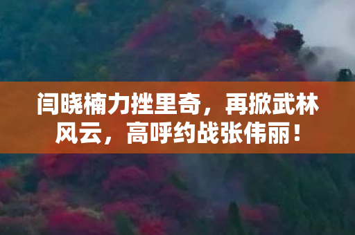 闫晓楠力挫里奇，再掀武林风云，高呼约战张伟丽！