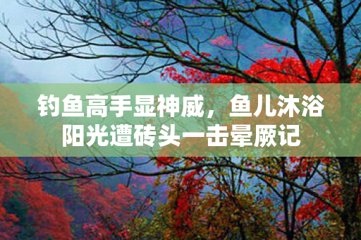 钓鱼高手显神威，鱼儿沐浴阳光遭砖头一击晕厥记
