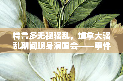 特鲁多无视骚乱，加拿大骚乱期间现身演唱会——事件深度解析