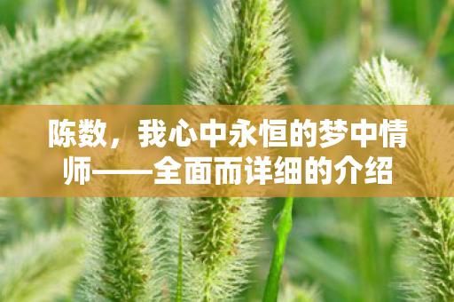 陈数，我心中永恒的梦中情师——全面而详细的介绍