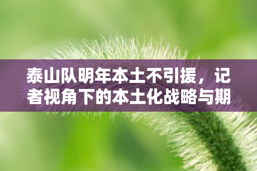 泰山队明年本土不引援，记者视角下的本土化战略与期待