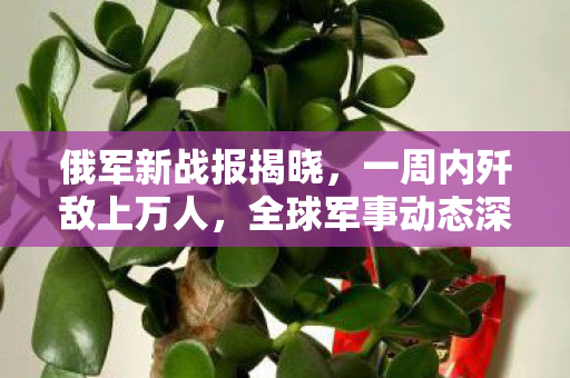 俄军新战报揭晓，一周内歼敌上万人，全球军事动态深度解析