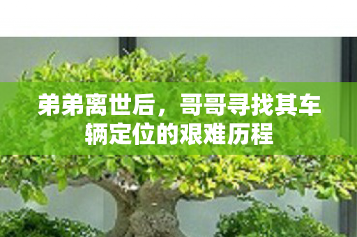弟弟离世后，哥哥寻找其车辆定位的艰难历程
