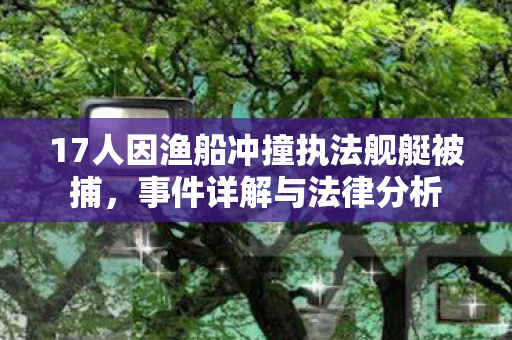17人因渔船冲撞执法舰艇被捕，事件详解与法律分析