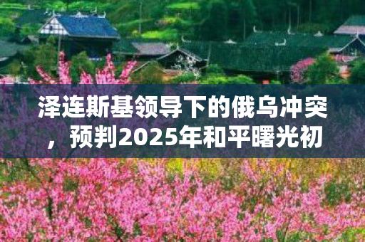 泽连斯基领导下的俄乌冲突，预判2025年和平曙光初现
