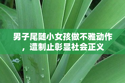 男子尾随小女孩做不雅动作，遭制止彰显社会正义