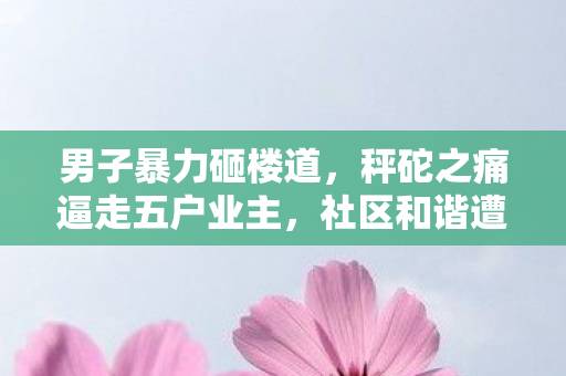 男子暴力砸楼道，秤砣之痛逼走五户业主，社区和谐遭严重破坏