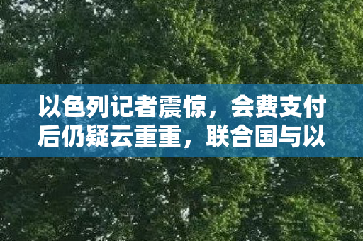 以色列记者震惊，会费支付后仍疑云重重，联合国与以色列关系引深思