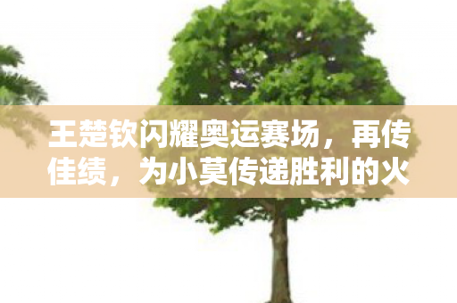 王楚钦闪耀奥运赛场，再传佳绩，为小莫传递胜利的火炬