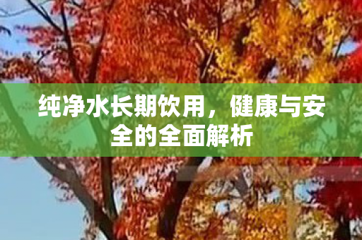 纯净水长期饮用，健康与安全的全面解析