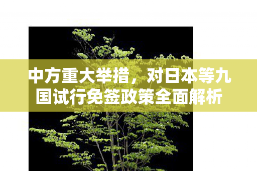 中方重大举措，对日本等九国试行免签政策全面解析