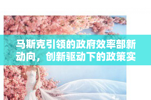 马斯克引领的政府效率部新动向，创新驱动下的政策实施与科技革新