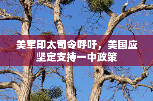 美军印太司令呼吁，美国应坚定支持一中政策