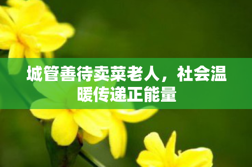 城管善待卖菜老人，社会温暖传递正能量