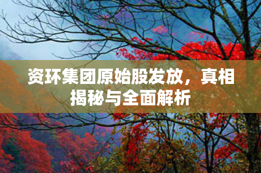 资环集团原始股发放，真相揭秘与全面解析