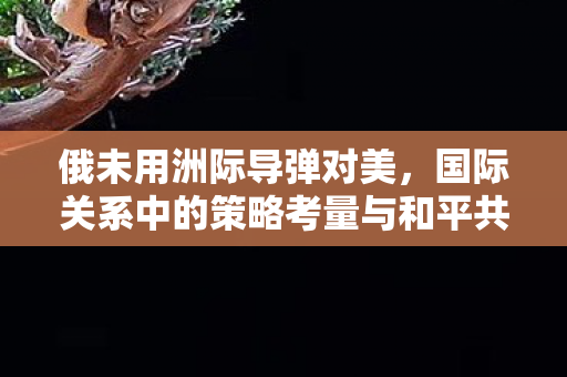 俄未用洲际导弹对美，国际关系中的策略考量与和平共处的重要性