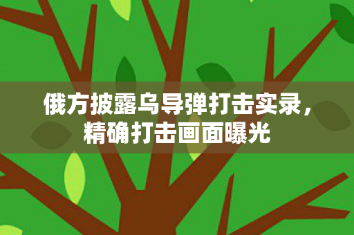 俄方披露乌导弹打击实录，精确打击画面曝光