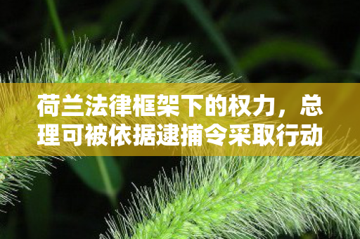 荷兰法律框架下的权力，总理可被依据逮捕令采取行动